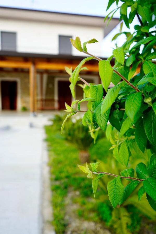 Atomos Bed and Breakfast Alvignano Buitenkant foto
